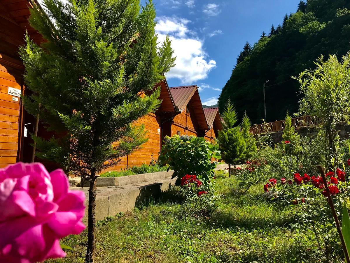 Tuva Villa Bungalov Camlihemsin Luaran gambar